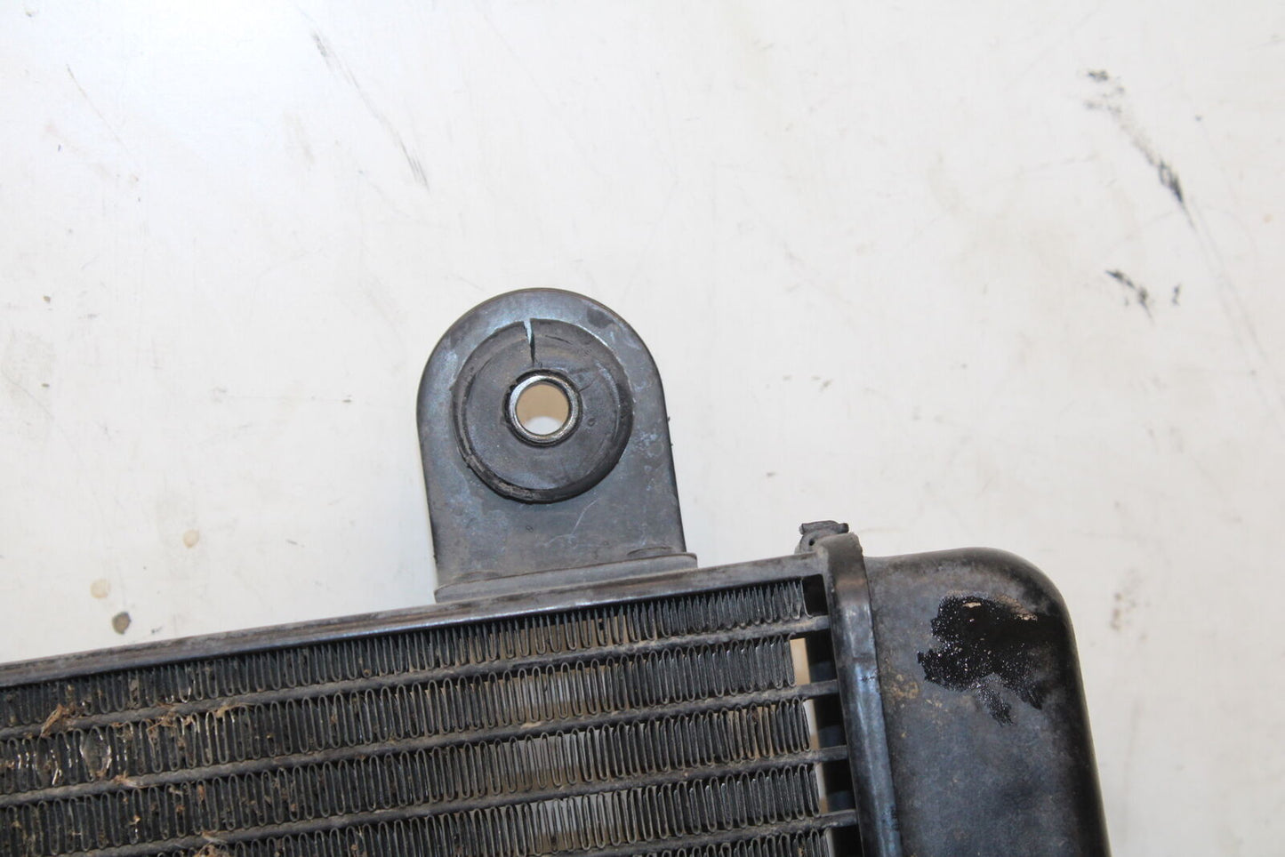 01-06 TRIUMPH TIGER 955I ENGINE RADIATOR MOTOR COOLER COOLING RADIATER BB693