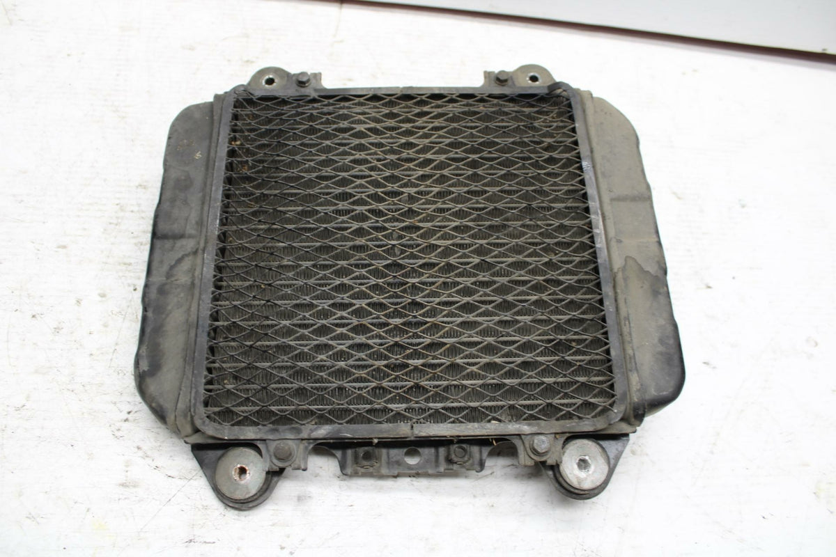 90-07 KAWASAKI ZZR 250 ENGINE RADIATOR MOTOR COOLER COOLING RADIATER BB298