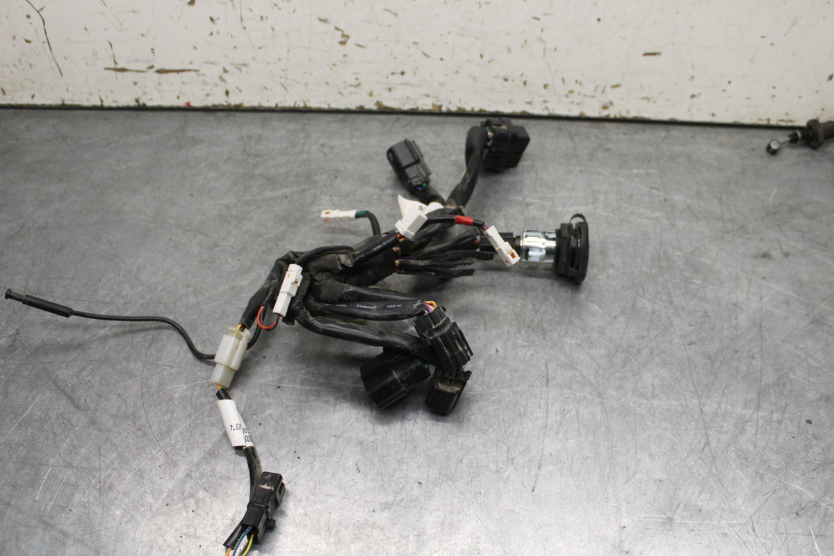 21-24 KTM 890 ADVENTURE R HEADLIGHT SPEEDO GAUGES WIRING HARNESS WIRE LOOM BB723