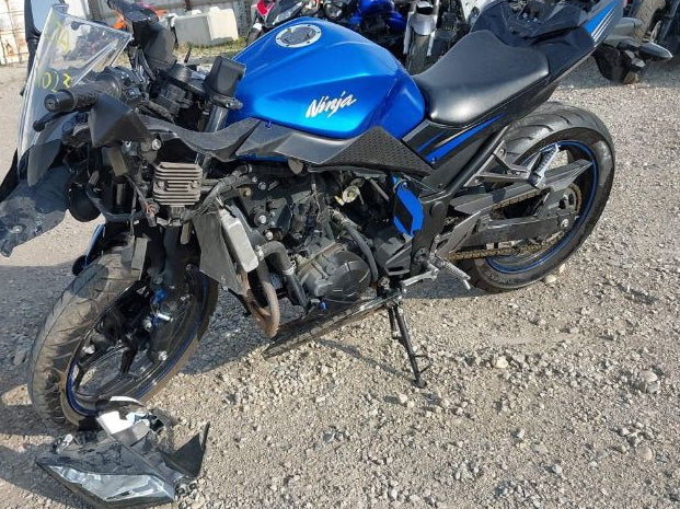 2015 KAWASAKI EX300 B