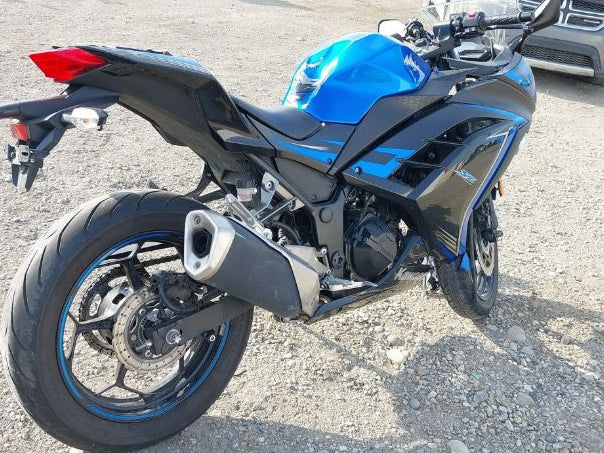 2015 KAWASAKI EX300 B