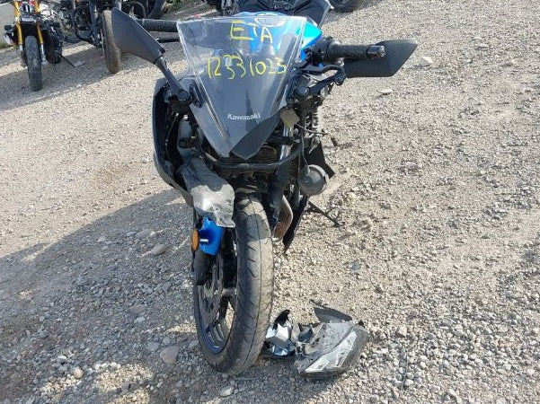 2015 KAWASAKI EX300 B