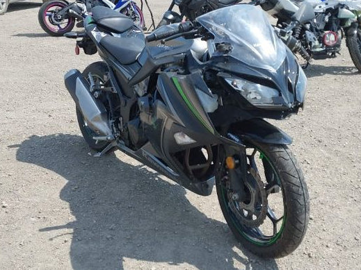 2015 KAWASAKI EX300 B