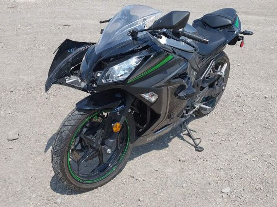 2015 KAWASAKI EX300 B