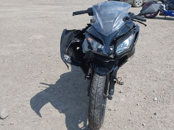 2015 KAWASAKI EX300 B