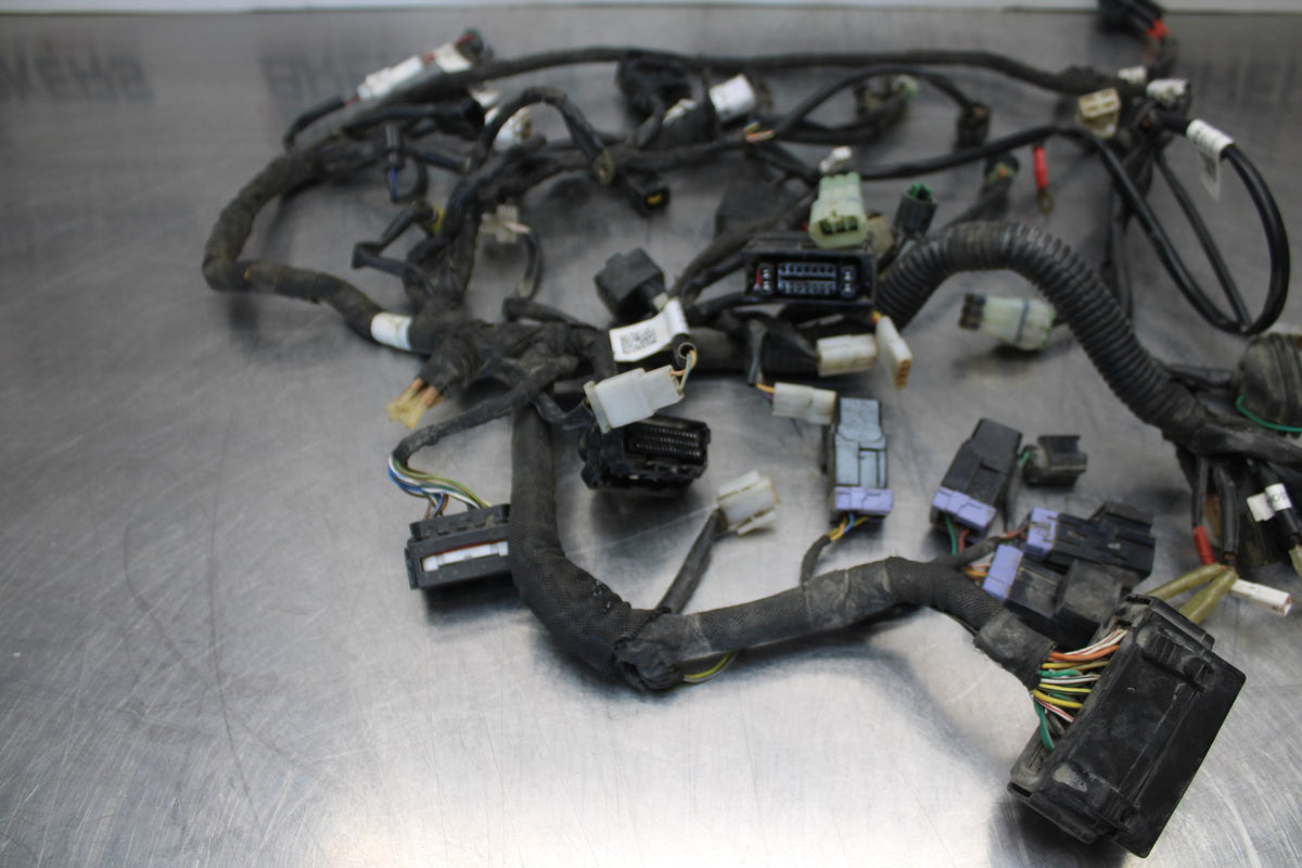 18-22 HUSQVARNA VITPILEN 701 MAIN ENGINE WIRING HARNESS MOTOR WIRE LOOM BB198