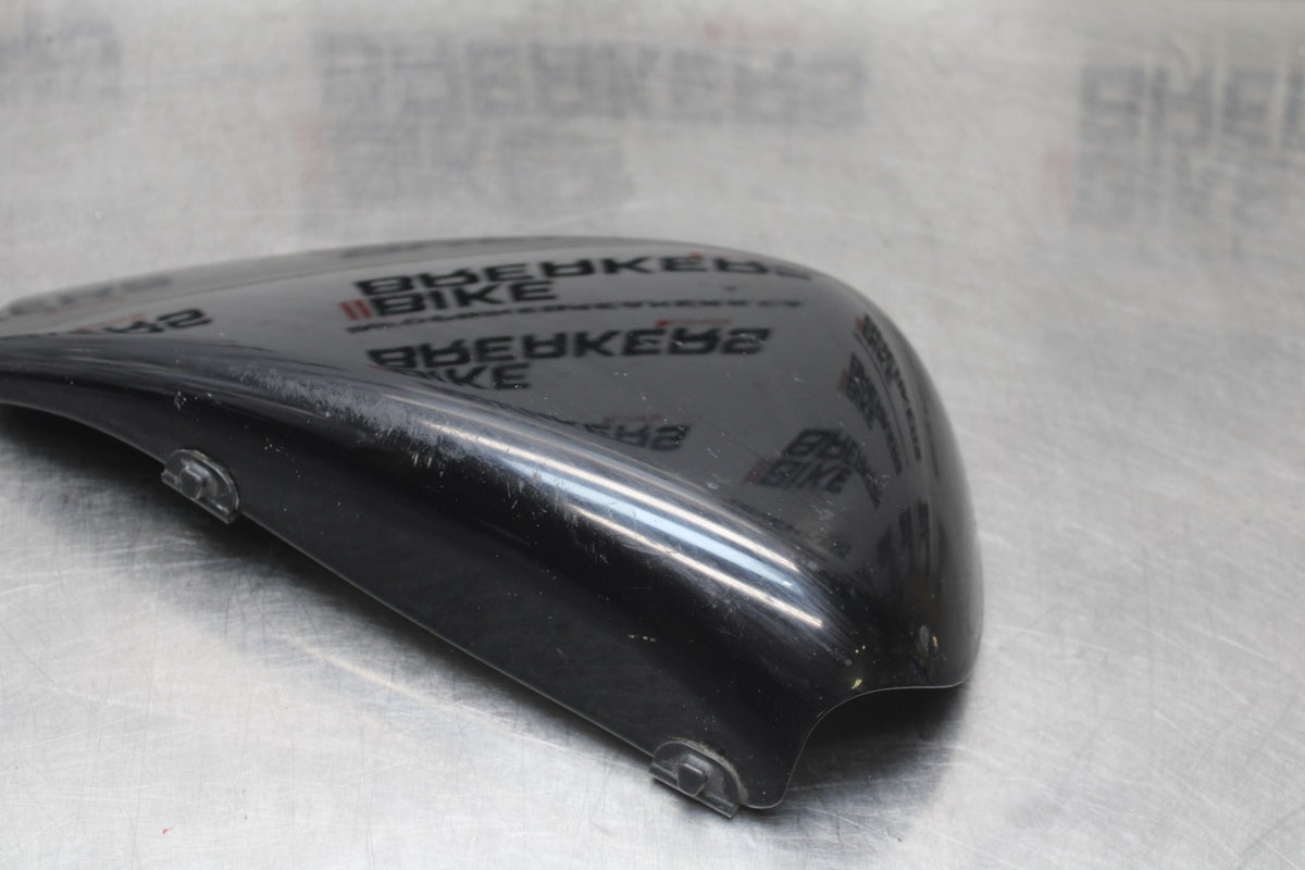 07 HARLEY-DAVIDSON SPORTSTER 1200 CUSTOM XL1200C LEFT SIDE COVER PANEL BB833