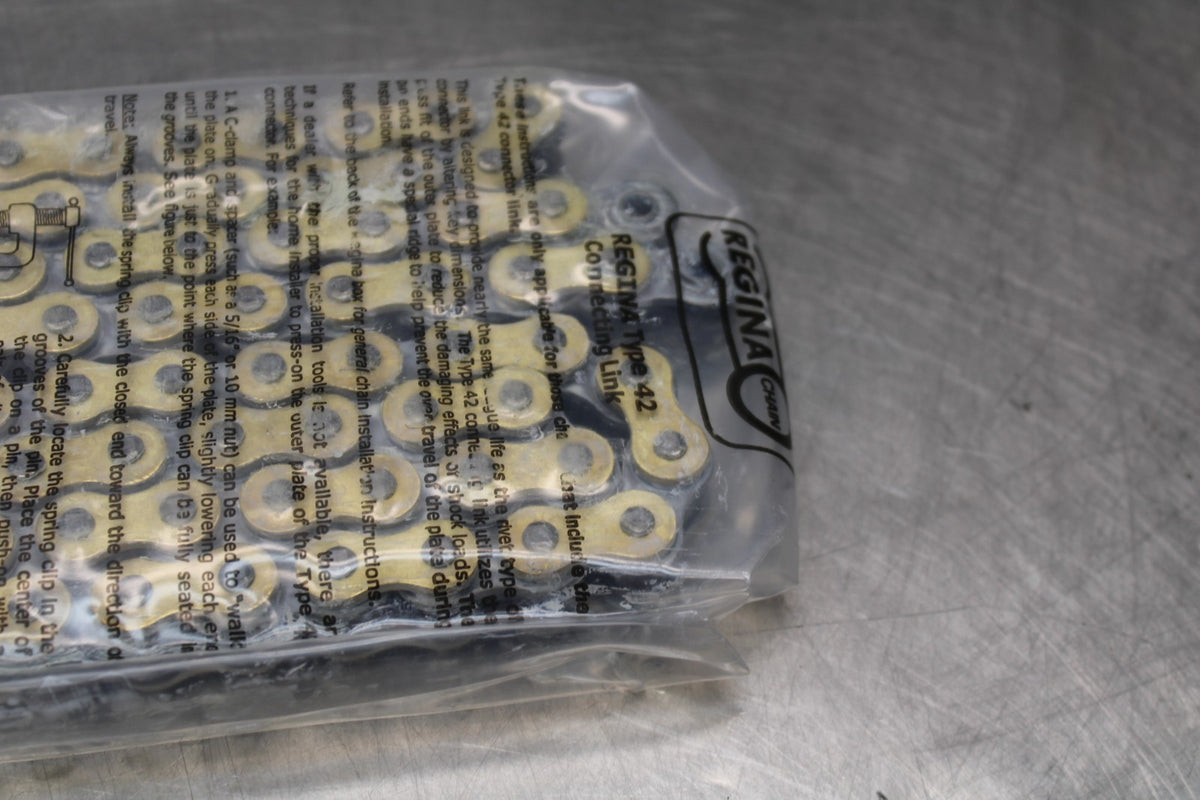 REGINA NEW!! TOURING MAIN DRIVE CHAIN  BB876