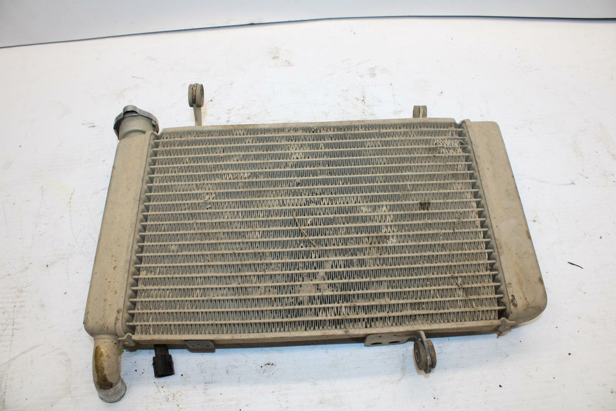 03-06 SUZUKI QUADSPORT Z400 ENGINE RADIATOR MOTOR COOLER COOLING RADIATER BB256