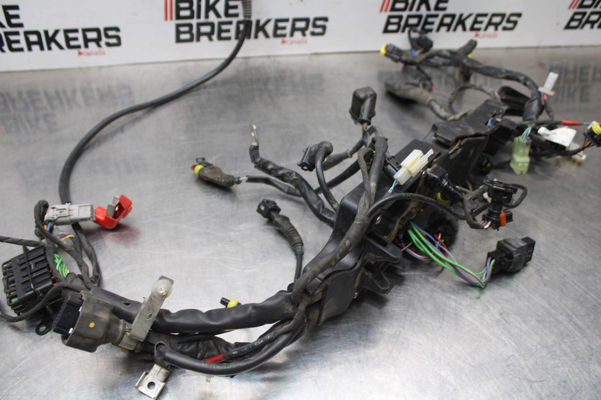 19 MOTO GUZZI V7 III MAIN ENGINE WIRING HARNESS MOTOR WIRE LOOM BB831