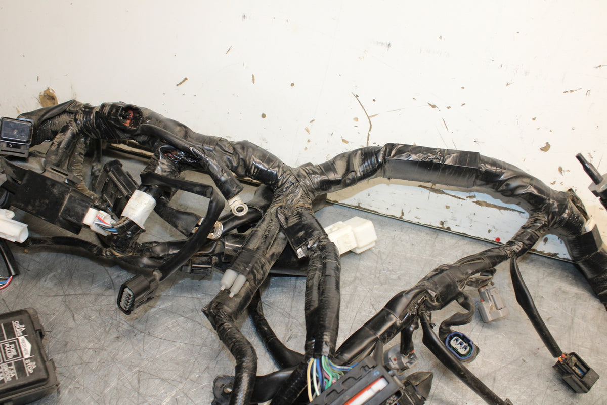 22-24 YAMAHA XSR900 MAIN ENGINE WIRING HARNESS MOTOR WIRE LOOM BB710