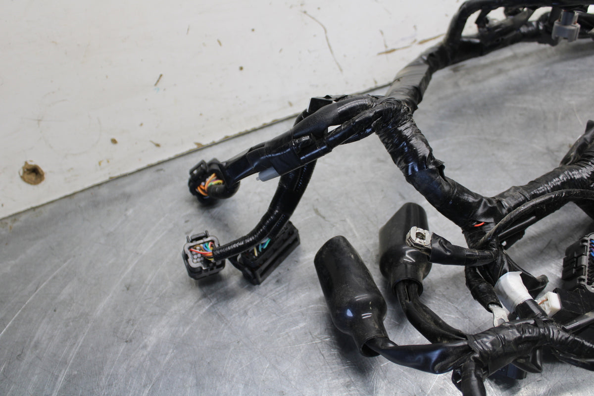 22-24 YAMAHA XSR900 MAIN ENGINE WIRING HARNESS MOTOR WIRE LOOM   BB683