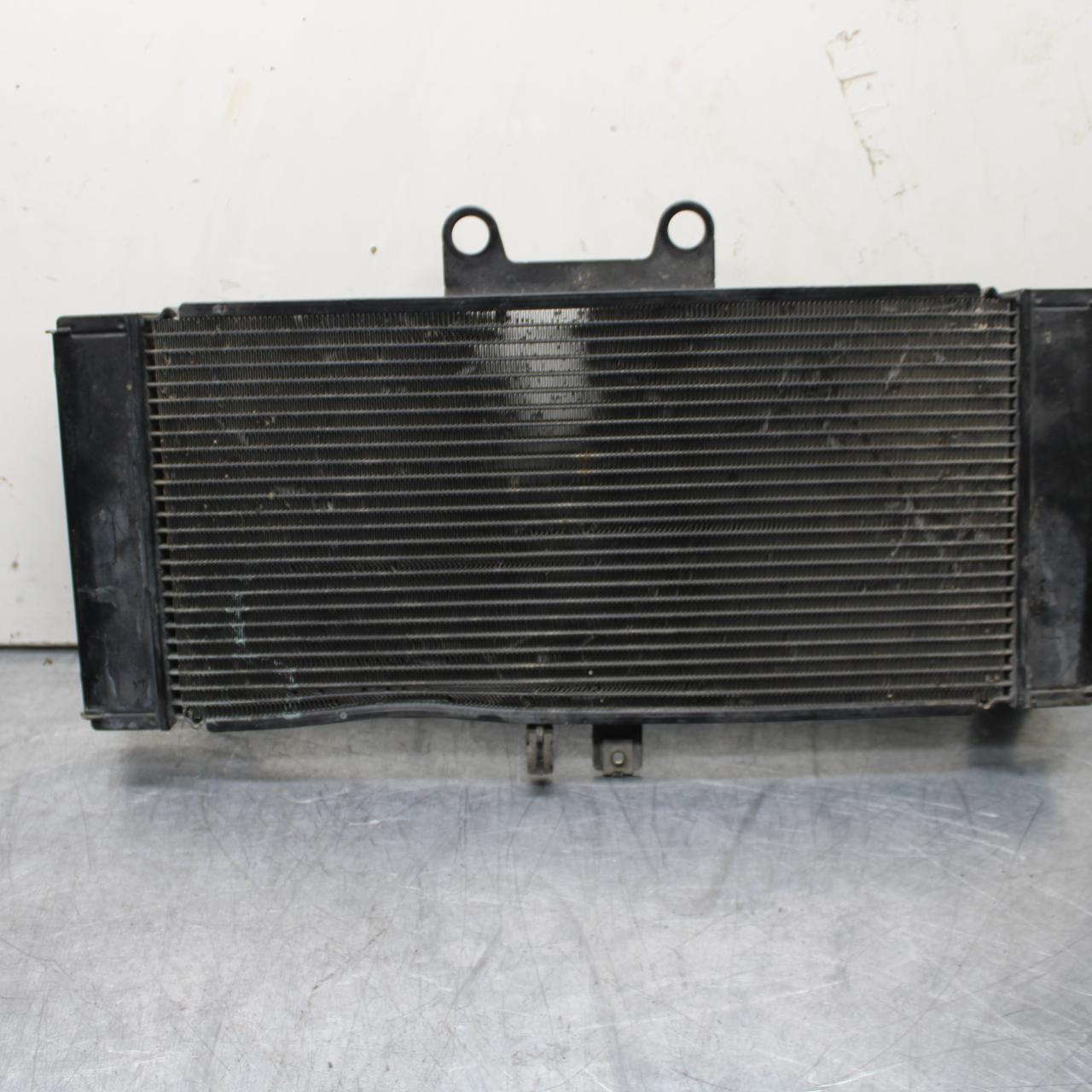 07-12 SUZUKI BANDIT GSF 650 F GSX650F/ ENGINE RADIATOR MOTOR COOLER COOLING BB90