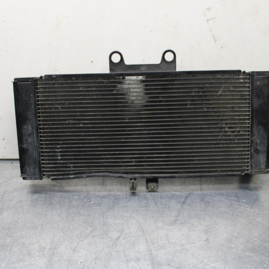 07-12 SUZUKI BANDIT GSF 650 F GSX650F/ ENGINE RADIATOR MOTOR COOLER COOLING BB90