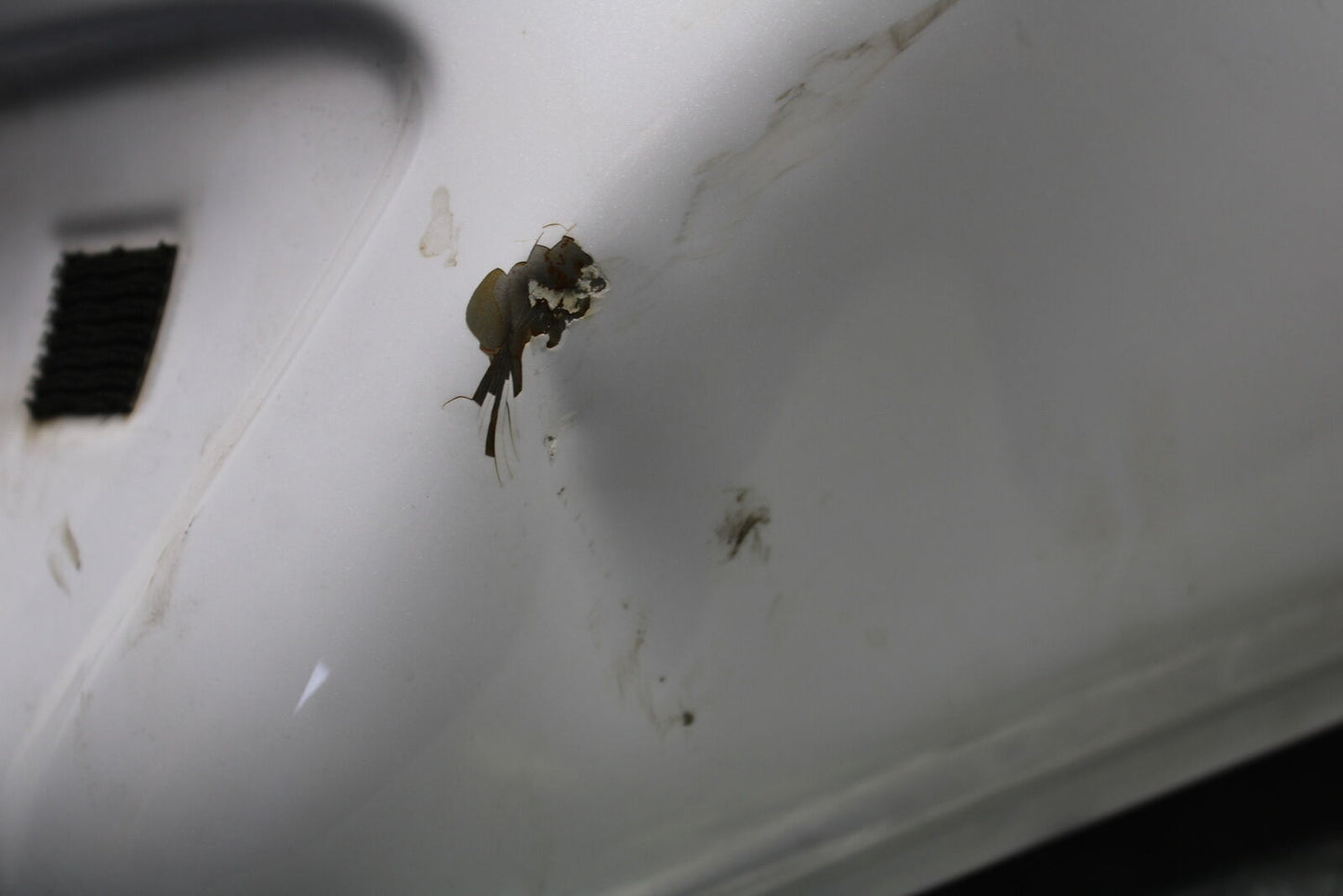 12-17 KAWASAKI ER-6N Z650 GAS TANK FUEL CELL PETROL RESERVOIR BB709