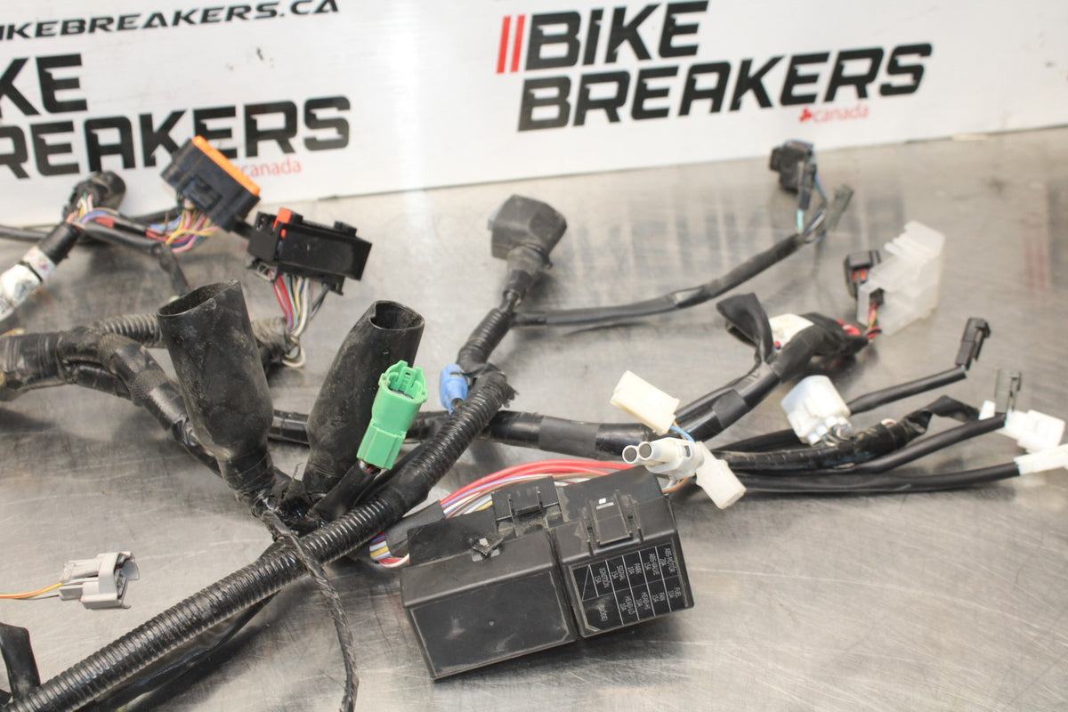 17-24 SUZUKI SV650 MAIN ENGINE WIRING HARNESS MOTOR WIRE LOOM BB829