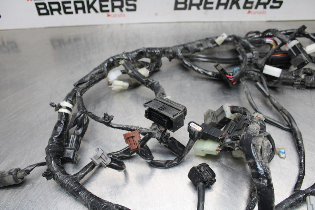 17-18 YAMAHA YZF R3 MAIN ENGINE WIRING HARNESS MOTOR WIRE LOOM BB813