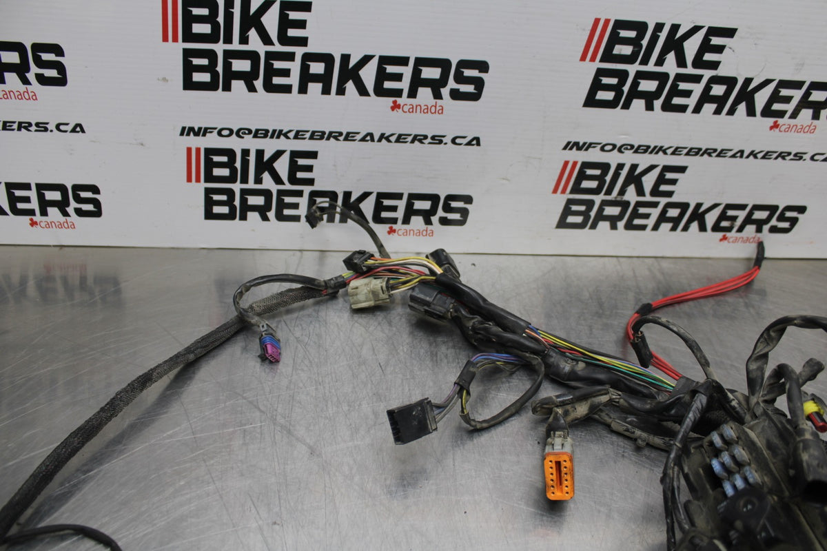 08 HARLEY-DAVIDSON SPORTSTER 1200 MAIN ENGINE WIRING HARNESS WIRE LOOM BB794