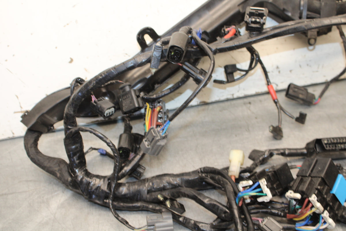 19-21 TRIUMPH SPEED TWIN 1200 MAIN ENGINE WIRING HARNESS MOTOR WIRE LOOM BB653