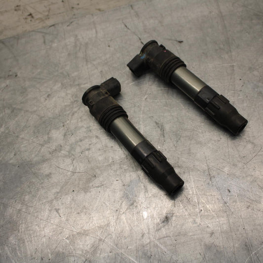 17 KAWASAKI VERSYS_X 300 IGNITION COILS COIL SPARK PLUG CAPS BB504