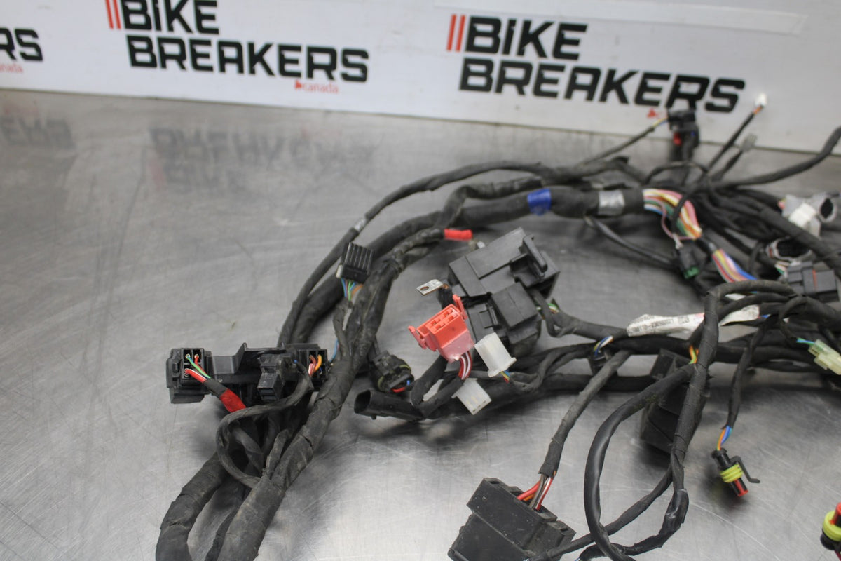 24 APRILIA TUONO V4 1100 FACTORY ABS MAIN ENGINE WIRING HARNESS WIRE LOOM BB887