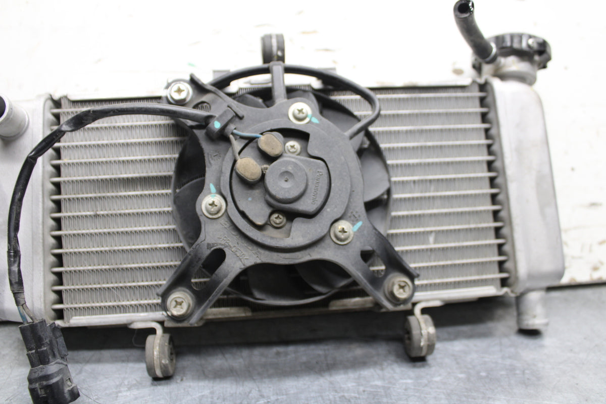 15-16 HONDA CB300F ENGINE RADIATOR MOTOR COOLER COOLING RADIATER BB740