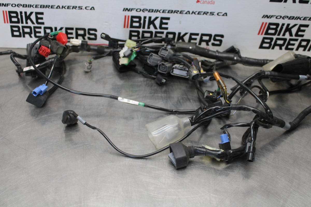 24-25 KAWASAKI ELIMINATOR 450 MAIN ENGINE WIRING HARNESS MOTOR WIRE LOOM BB869