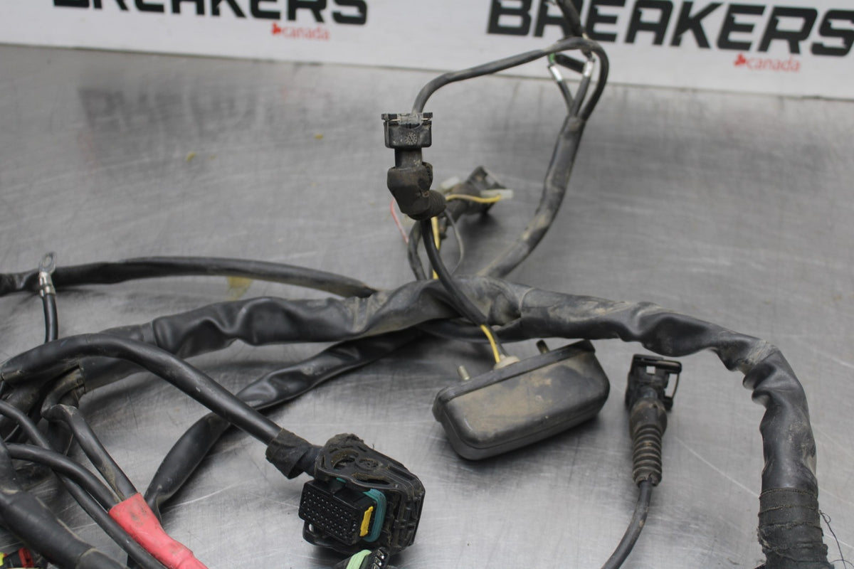 02 DUCATI MONSTER 620 MAIN ENGINE WIRING HARNESS MOTOR WIRE LOOM BB851