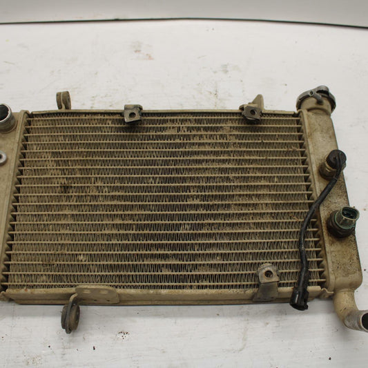 03-06 SUZUKI QUADSPORT Z400 ENGINE RADIATOR MOTOR COOLER COOLING RADIATER BB256