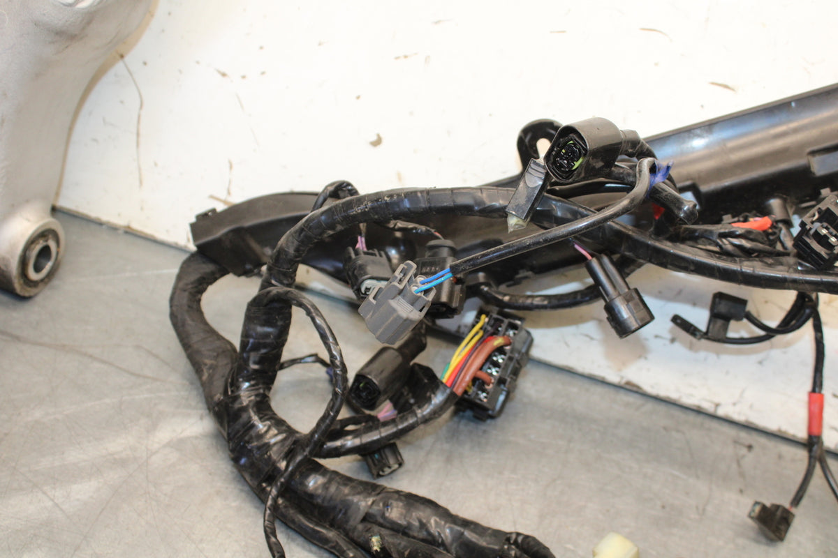 19-21 TRIUMPH SPEED TWIN 1200 MAIN ENGINE WIRING HARNESS MOTOR WIRE LOOM BB653