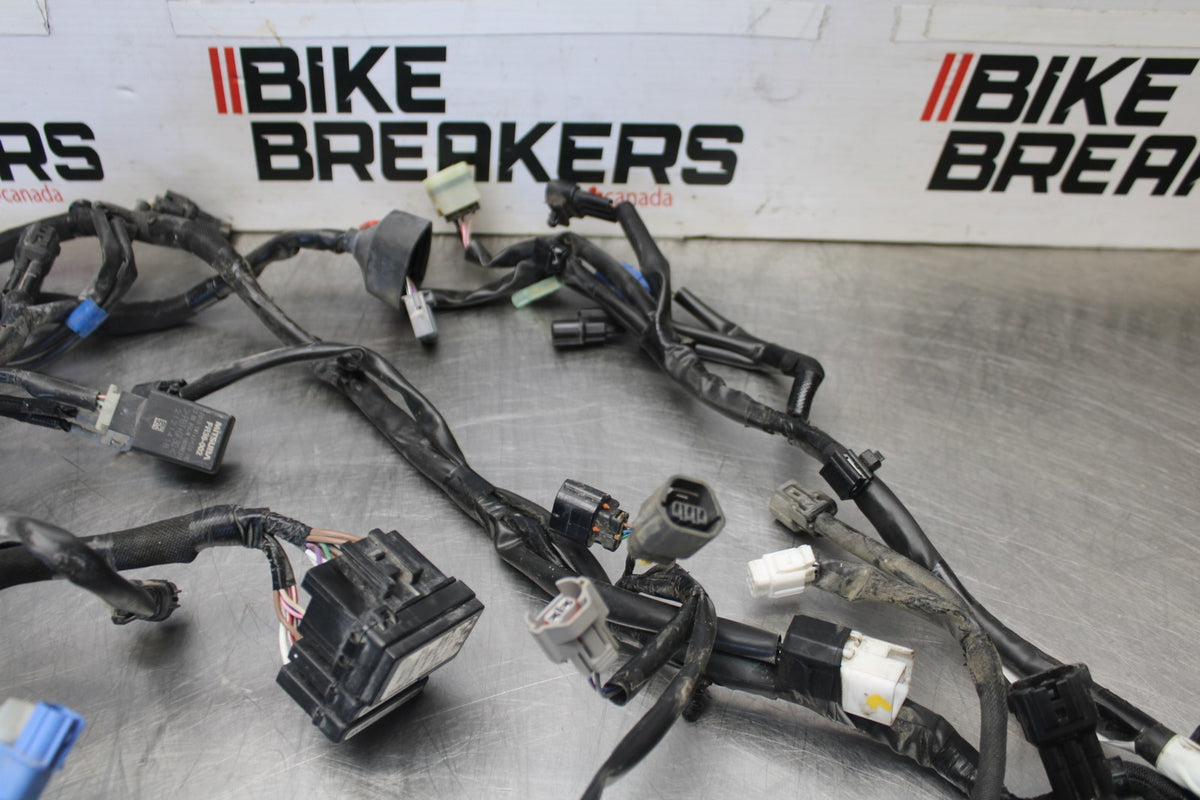 23 KAWASAKI NINJA 650 EX650 MAIN ENGINE WIRING HARNESS MOTOR WIRE LOOM BB920