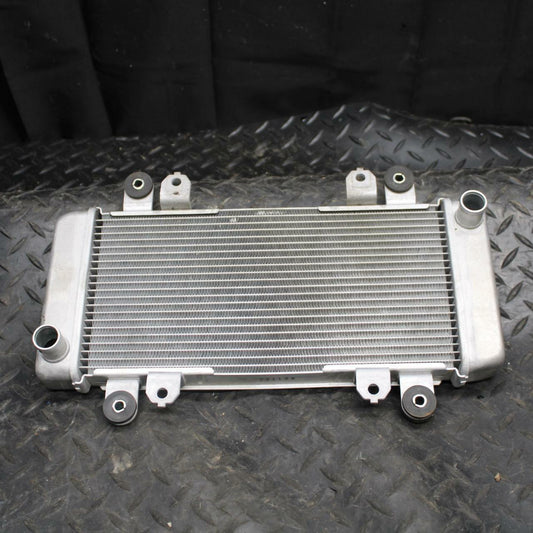 17 KAWASAKI NINJA 300  RADIATOR MOTOR COOLER COOLING RADIATER 14075-1061  BB215