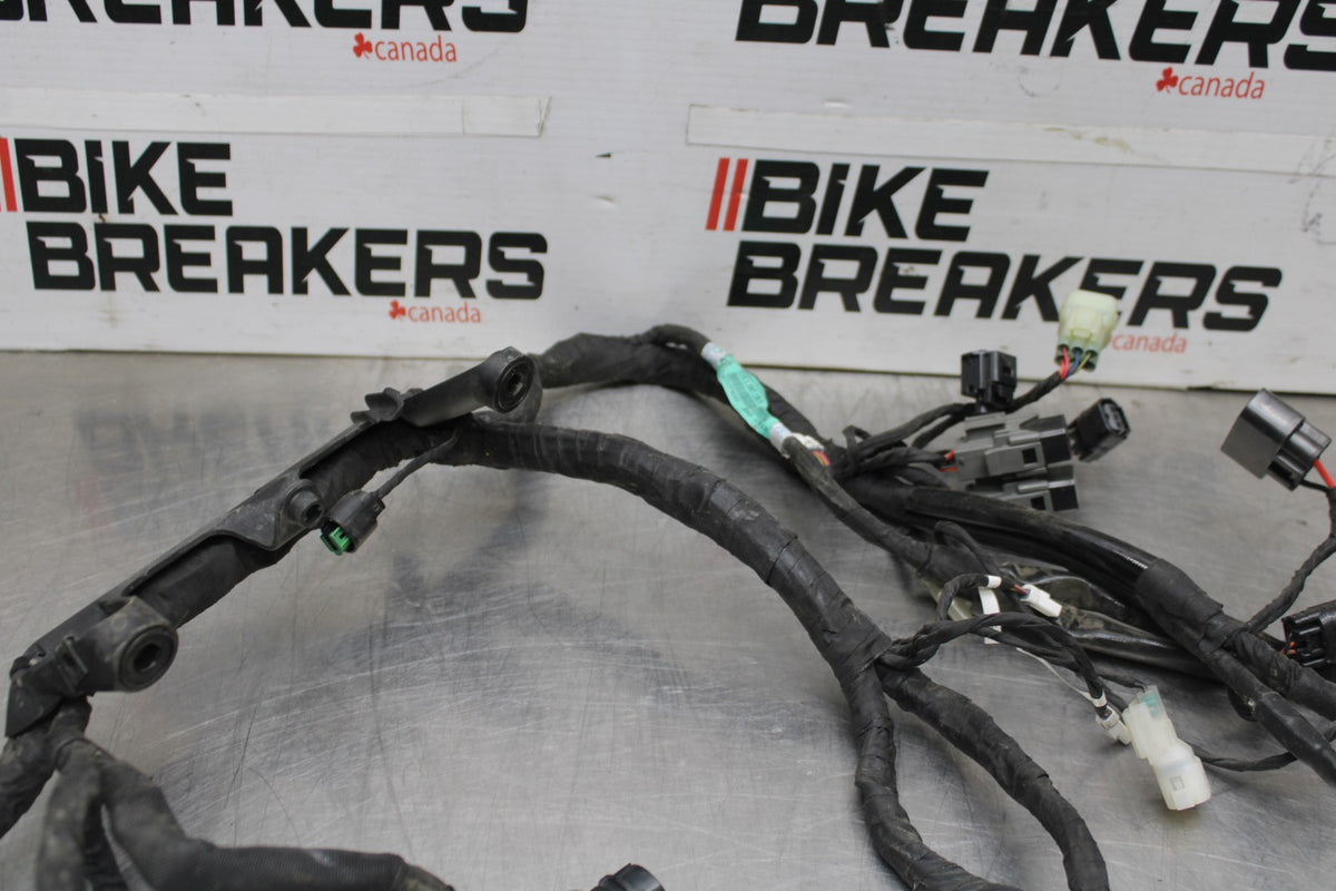 16 DUCATI 959 PANIGALE MAIN ENGINE WIRING HARNESS MOTOR WIRE LOOM BB912