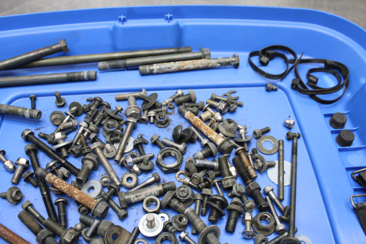04 YAMAHA ROAD STAR XV1700A MOUNTING BOLTS HARDWARE MOTOR SCREWS BB155