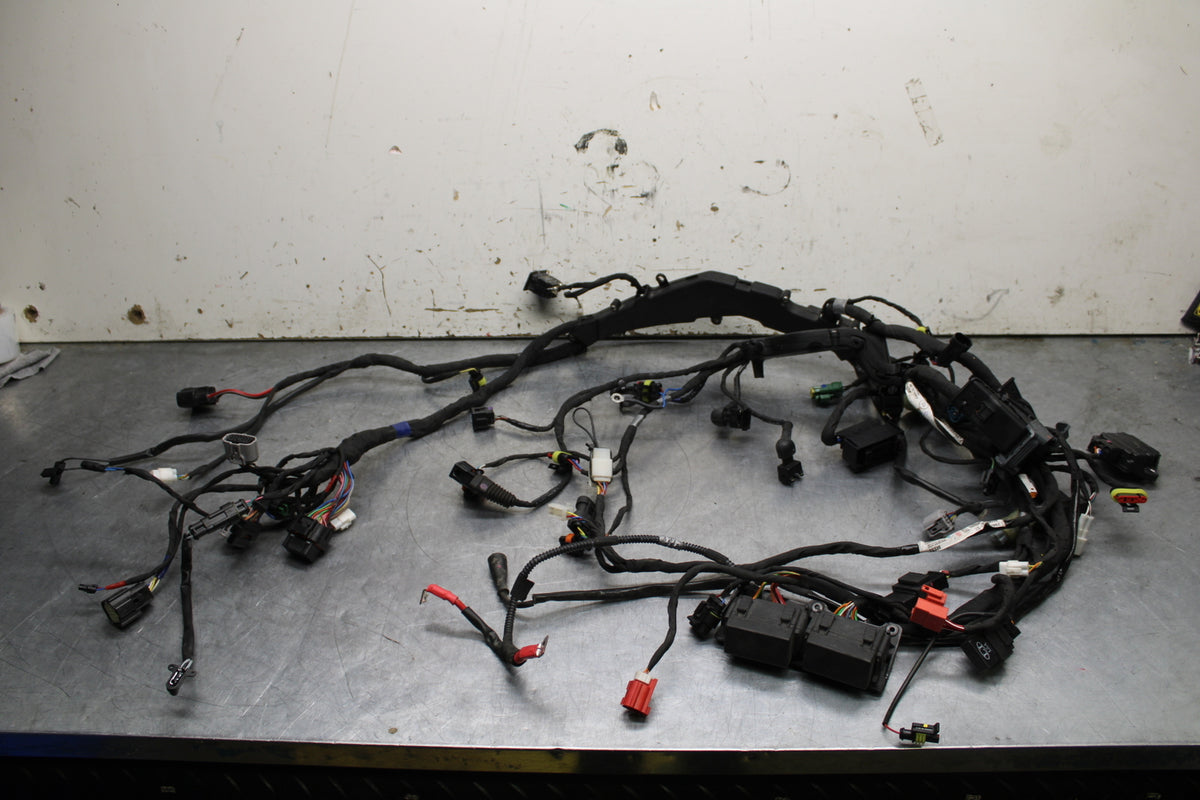 21-24 APRILIA TUONO 660 FACTORY MAIN ENGINE WIRING HARNESS MOTOR WIRE LOOM BB733