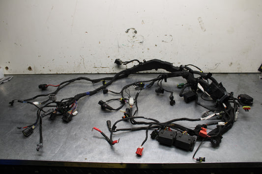 21-24 APRILIA TUONO 660 FACTORY MAIN ENGINE WIRING HARNESS MOTOR WIRE LOOM BB733