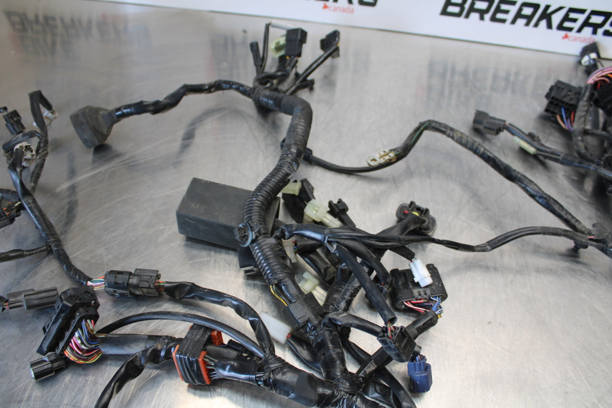 14-17 YAMAHA FZ07 MAIN ENGINE WIRING HARNESS MOTOR WIRE LOOM BB162