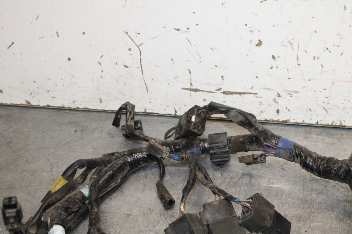14-16 TRIUMPH AMERICA LT MAIN ENGINE WIRING HARNESS MOTOR WIRE LOOM BB720
