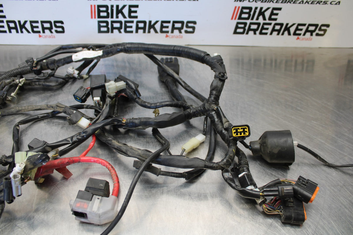 09 YAMAHA V STAR 950 MAIN ENGINE WIRING HARNESS MOTOR WIRE LOOM BB172