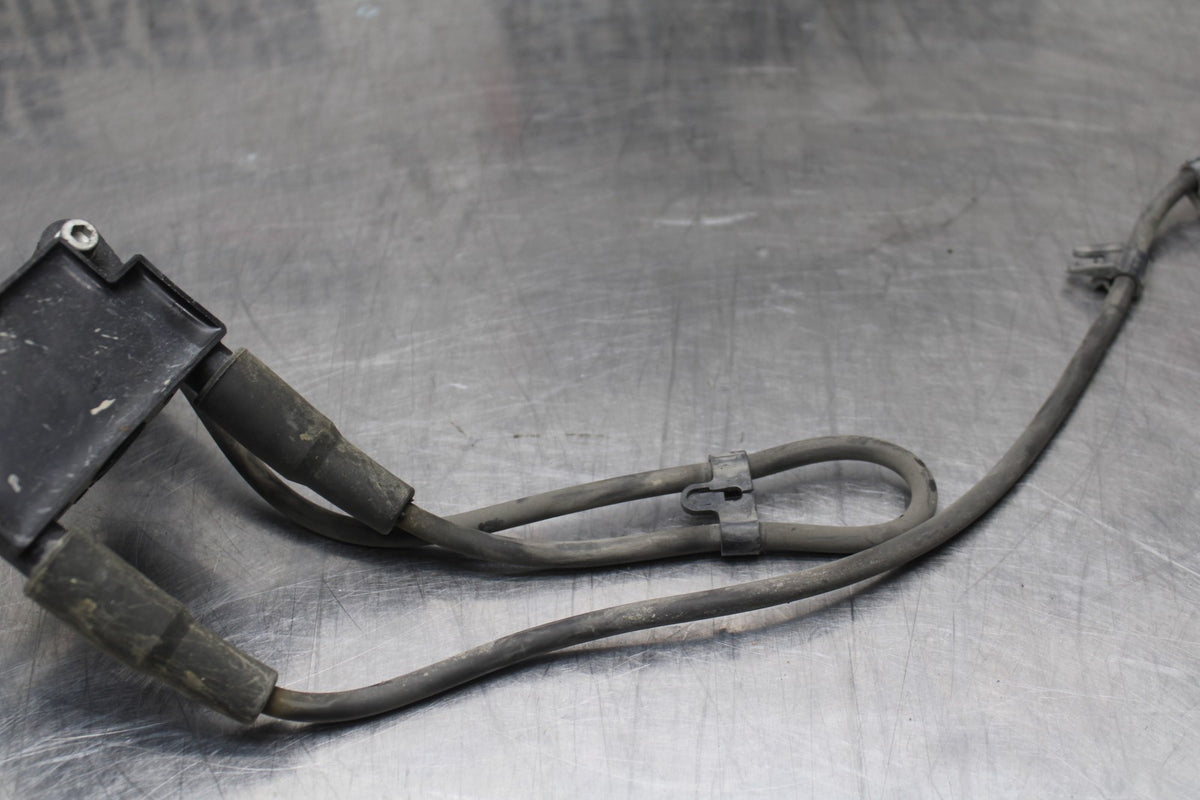 08 HARLEY-DAVIDSON ELECTRA GLIDE POLICE EFI FLHTPI IGNITION COILS BB816