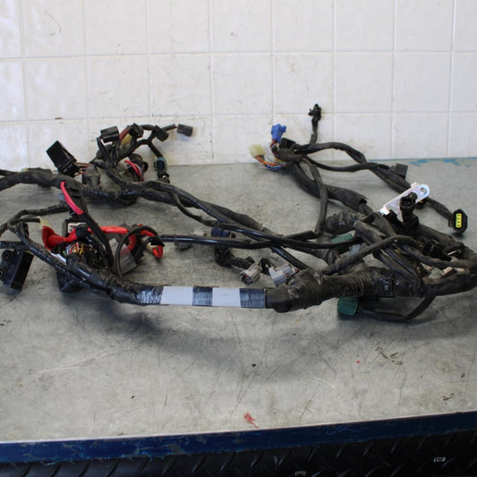 08-16 YAMAHA YZF R6 MAIN ENGINE WIRING HARNESS MOTOR WIRE LOOM BB431