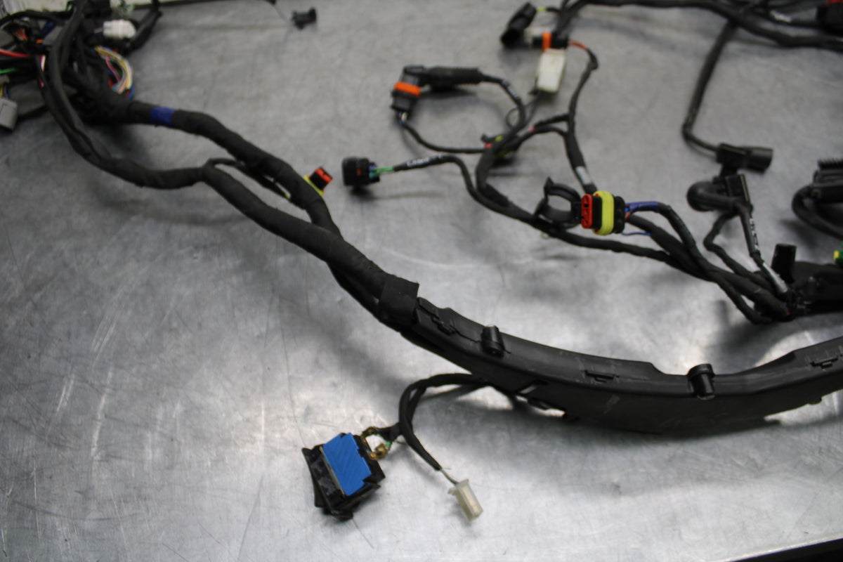 21-24 APRILIA TUONO 660 FACTORY MAIN ENGINE WIRING HARNESS MOTOR WIRE LOOM BB733
