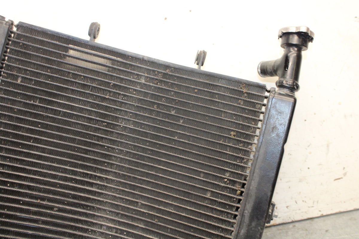 07-08 TRIUMPH DAYTONA 675 ENGINE RADIATOR MOTOR COOLER COOLING RADIATER BB685