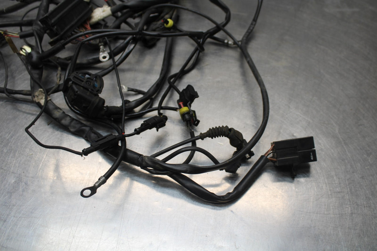 02 DUCATI MONSTER 620 MAIN ENGINE WIRING HARNESS MOTOR WIRE LOOM BB851
