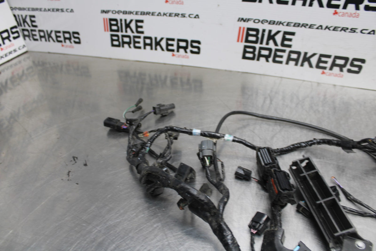 14 TRIUMPH STREET TRIPLE ABS MAIN ENGINE WIRING HARNESS MOTOR WIRE LOOM BB808