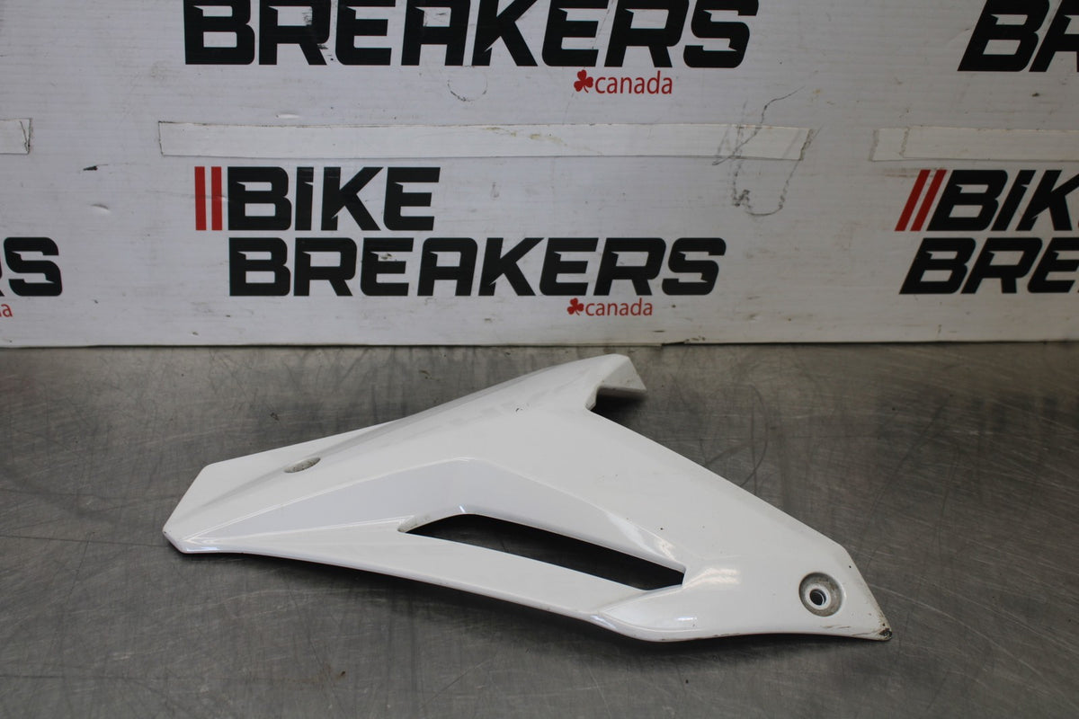 17-20 BMW S1000R RIGHT LOWER BOTTOM BELLY SIDE FAIRING COWL  BB909