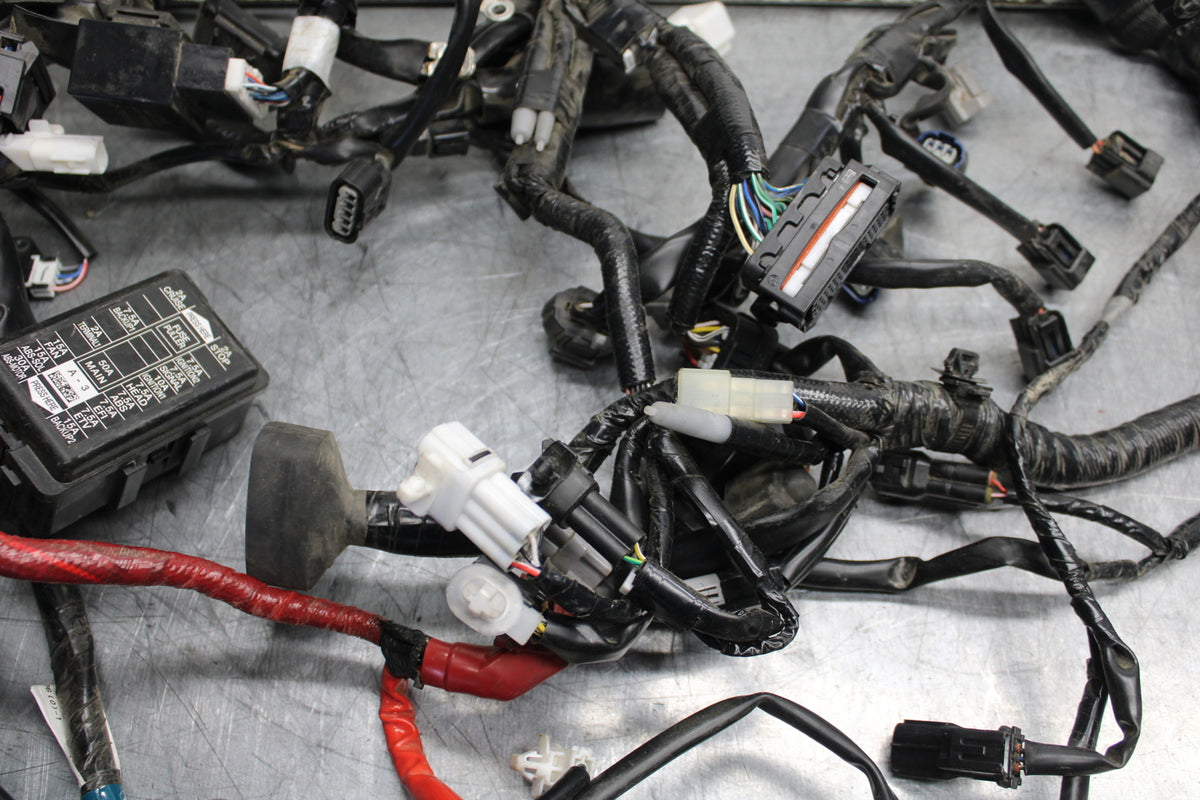 22-24 YAMAHA XSR900 MAIN ENGINE WIRING HARNESS MOTOR WIRE LOOM BB710