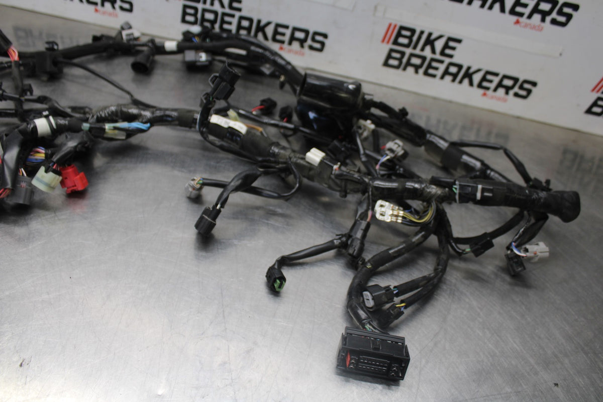 24-25 KAWASAKI NINJA ZX6R MAIN ENGINE WIRING HARNESS MOTOR WIRE LOOM BB939