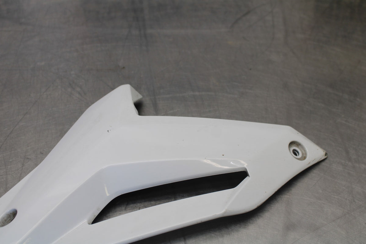 17-20 BMW S1000R RIGHT LOWER BOTTOM BELLY SIDE FAIRING COWL  BB909