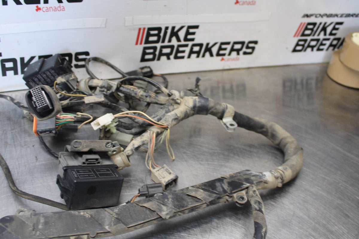 04 BUELL FIREBOLT XB12R ENGINE WIRING HARNESS MOTOR WIRE LOOM BB903